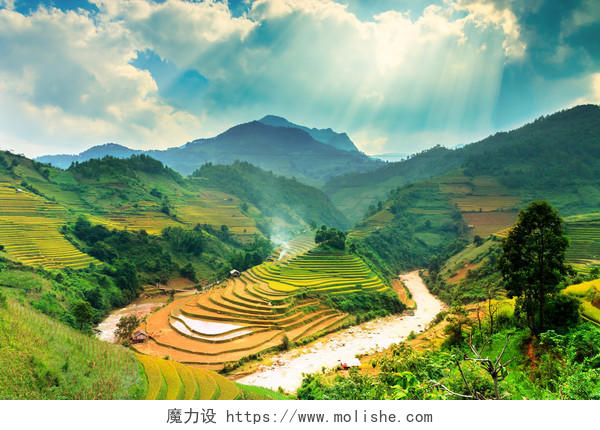 美丽梯田风景越南旅游